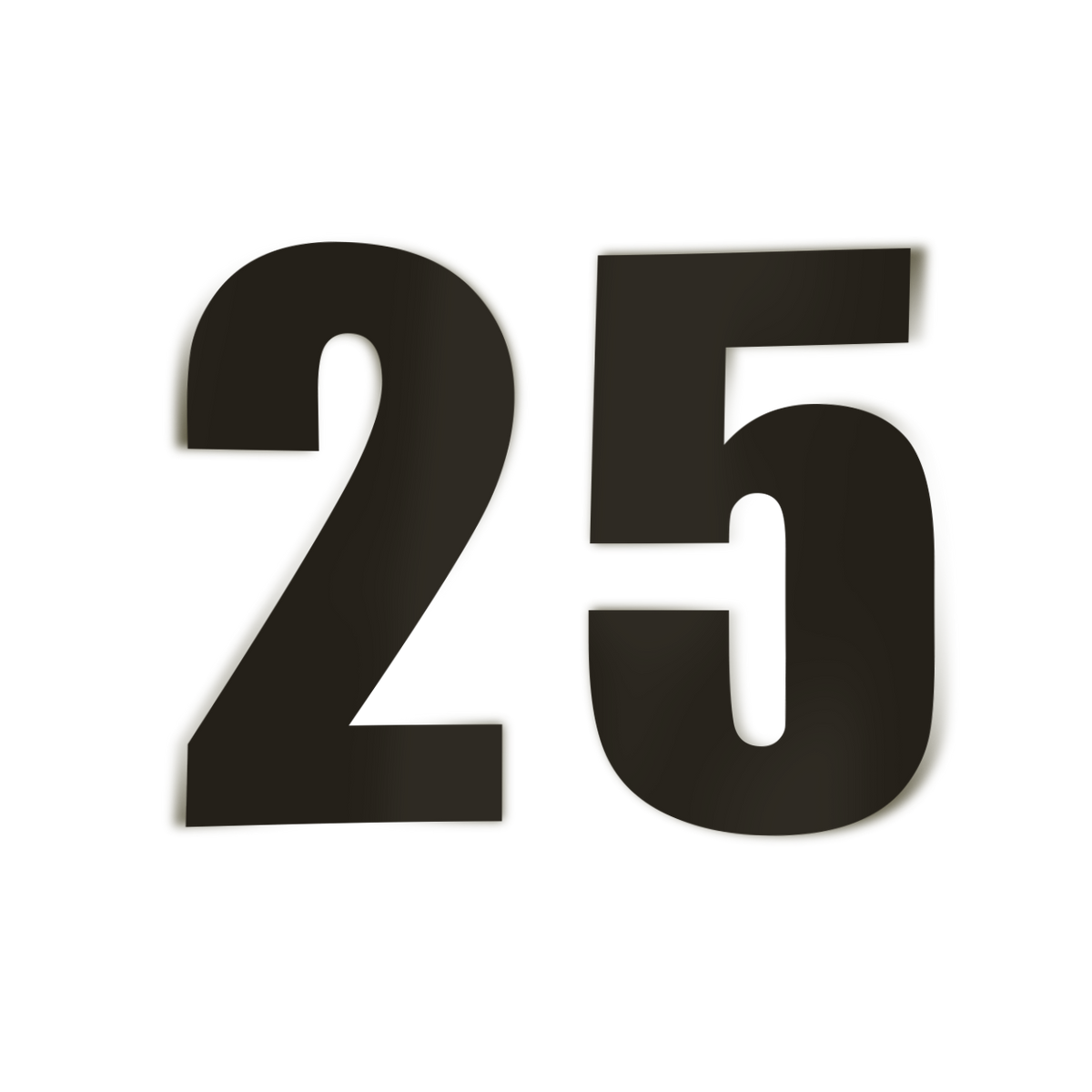 CUSTOMIZABLE Track Day Number Pair