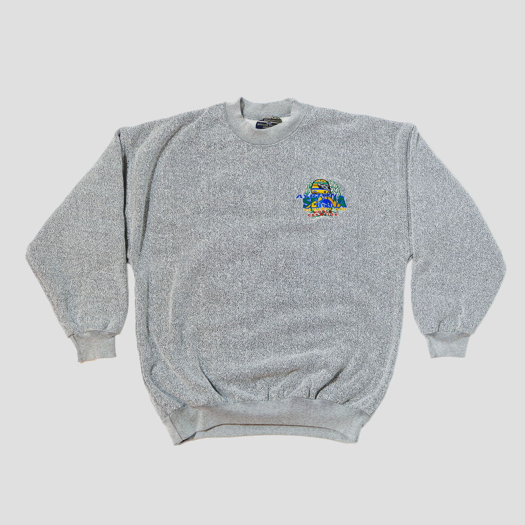 90's Ayrton Senna Goodsports F1 World Champion Pullover Crewneck